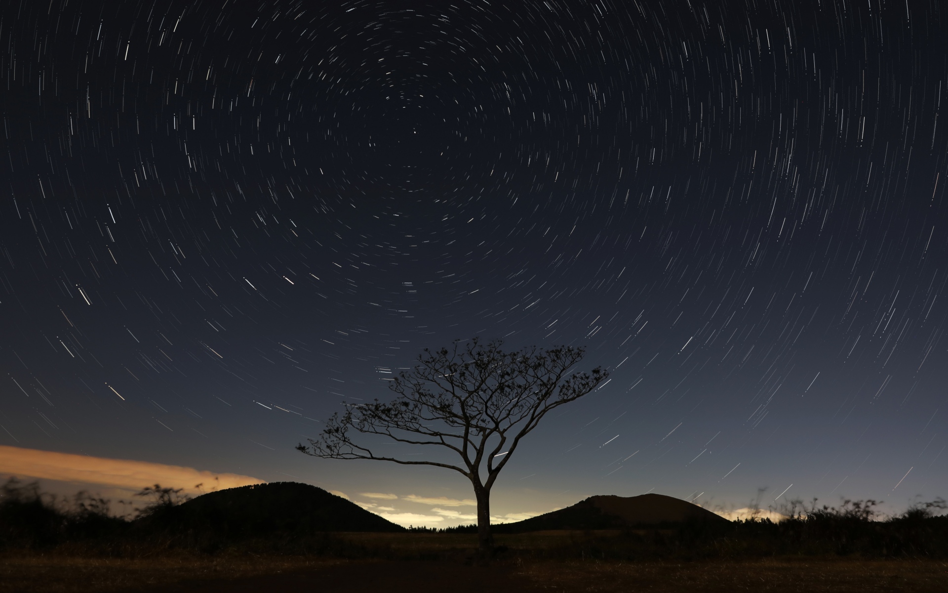 怎样查询个人信息：最全步骤与方法揭秘？